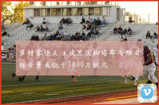 多特蒙德关注波黑国脚塔希洛维奇转会费或低于1000万欧元