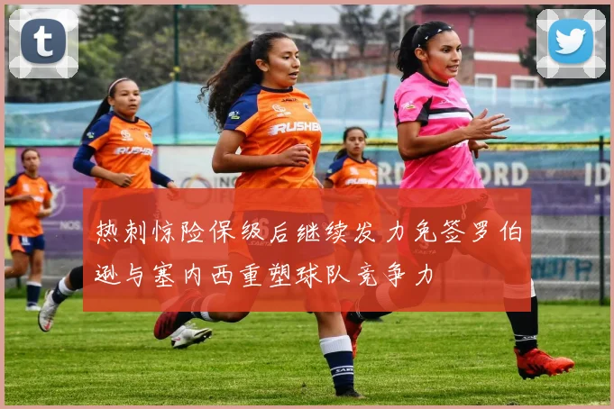 热刺惊险保级后继续发力免签罗伯逊与塞内西重塑球队竞争力