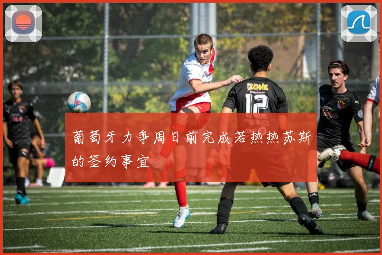 葡萄牙力争周日前完成若热热苏斯的签约事宜